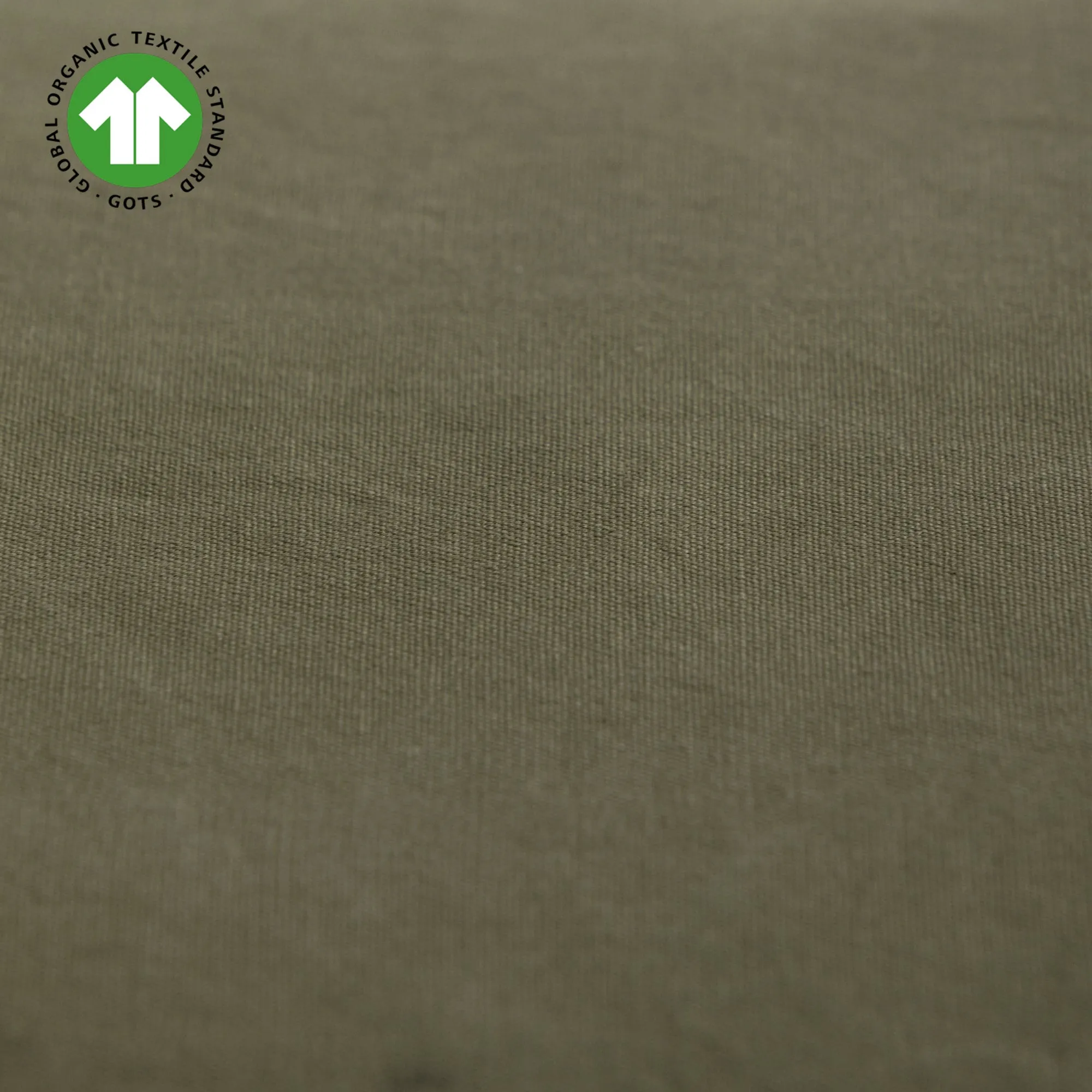 Ploov | 45x60 Canvas Fern Green